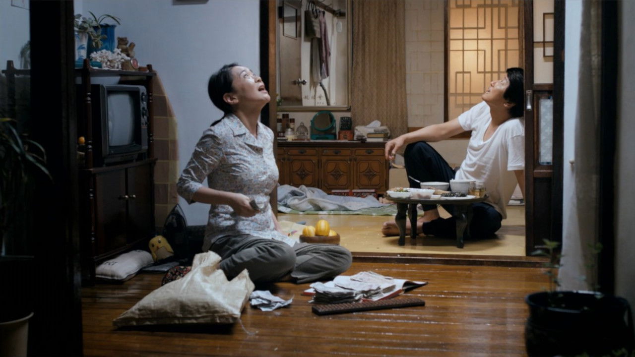 변호인 스틸컷 송강호 연기