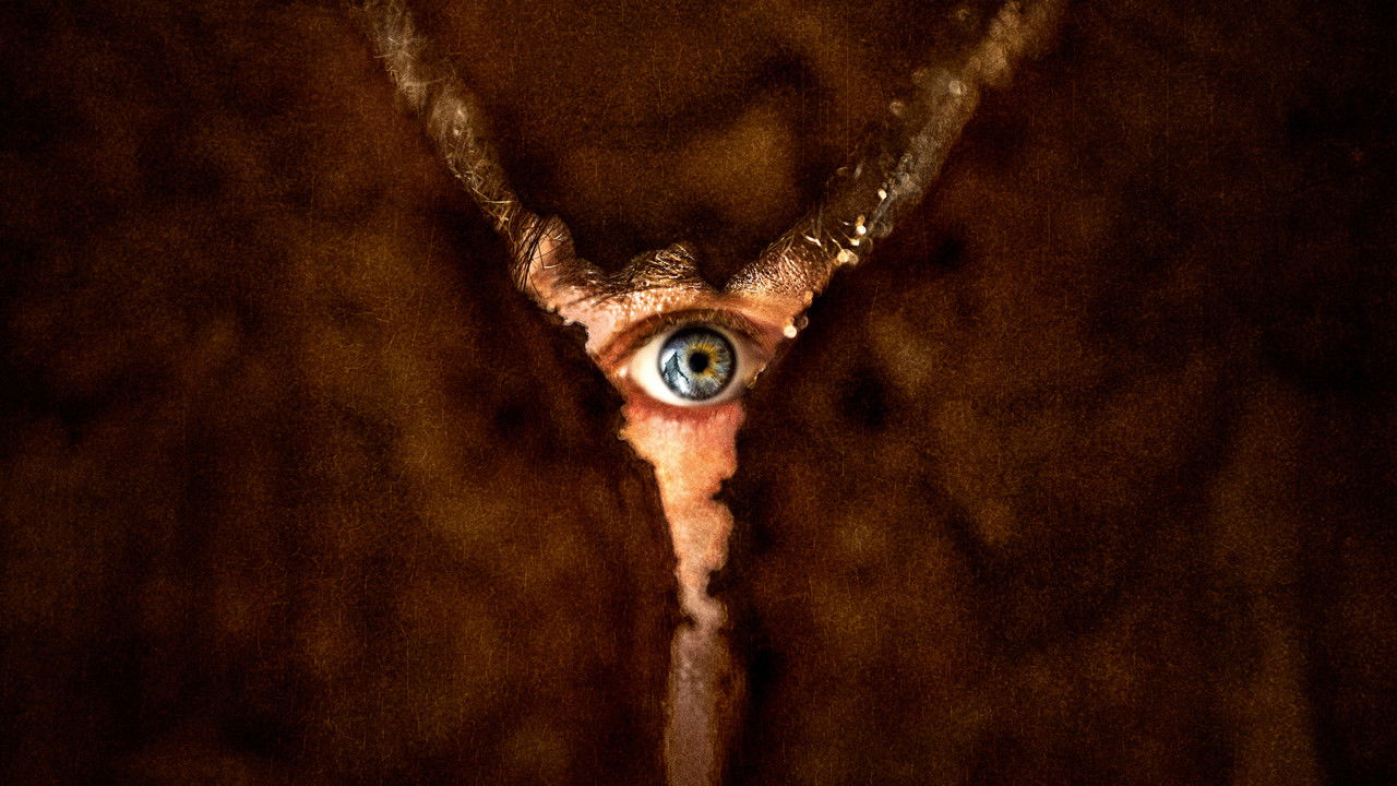 리턴 투 사일런트 힐 스틸컷